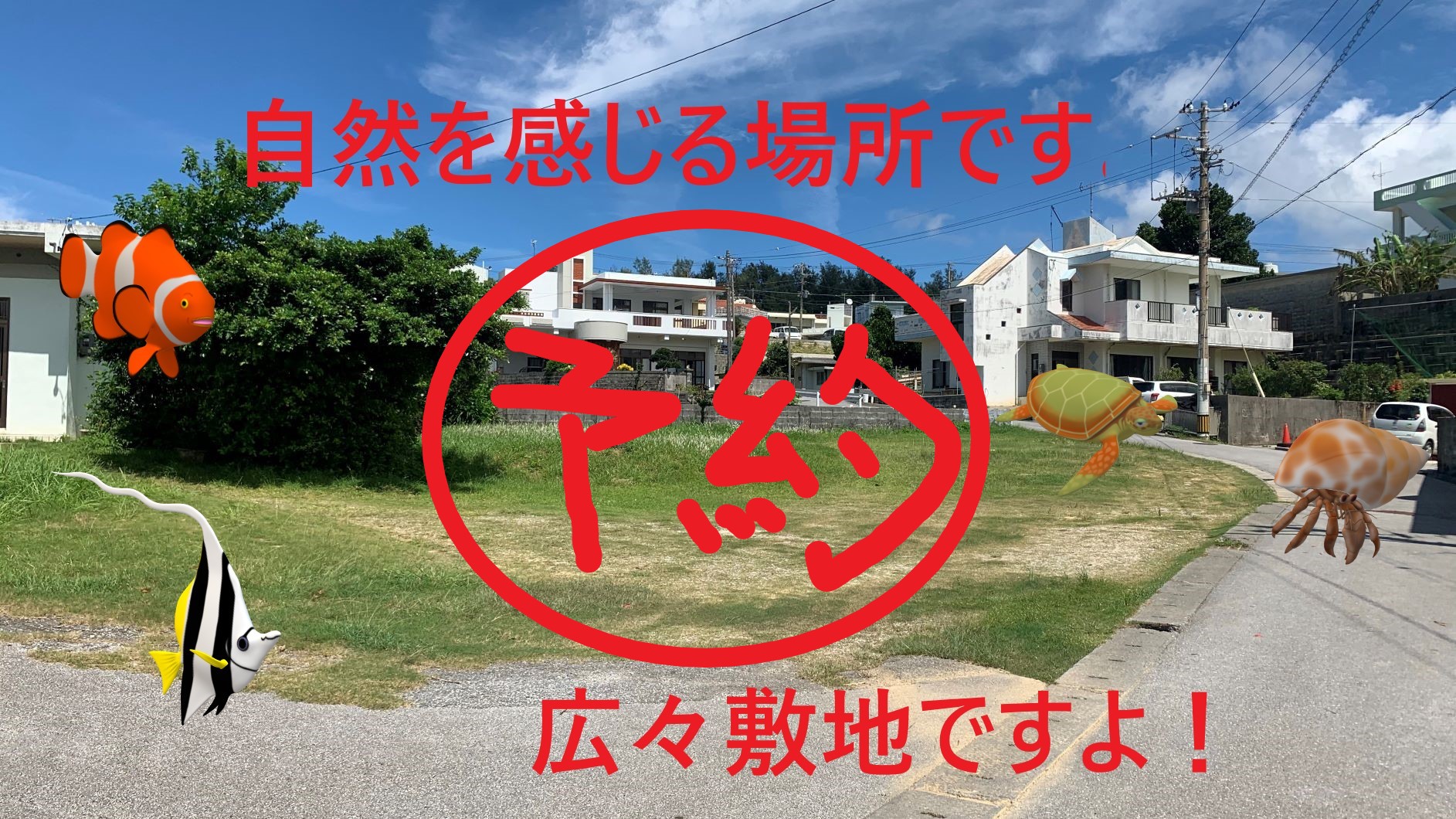 恩納村字恩納に売地でましたよ！