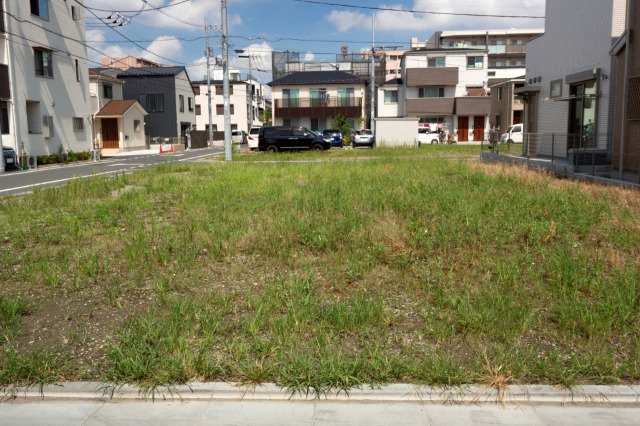 草の生えた空地